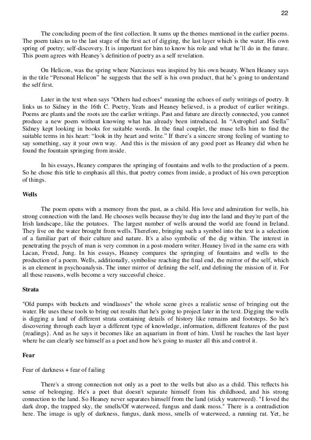 Essay Dichotomy in Seamus Heaney’s Poetry